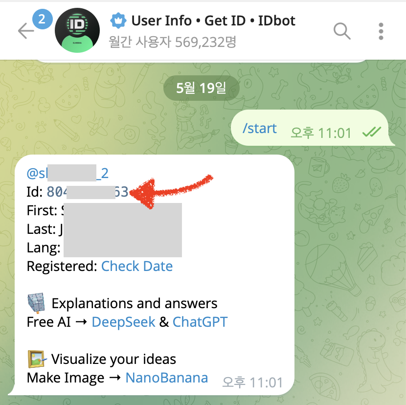 UserInfoBot 채팅에서 /start를 보내고 Id 항목의 숫자를 확인하는 Telegram 화면
